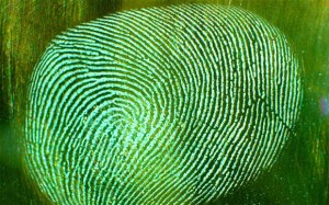 fingerprint_2680093b