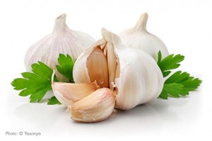 garlic